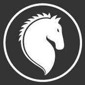 Bryan Horseys foto