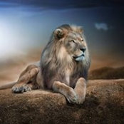 Foto von Emad El-Wakeel