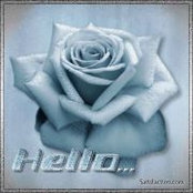 Colleen Naveira's photo