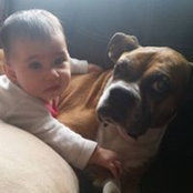 Ann Nuñez's photo