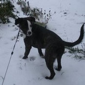 Elizabeth White's photo