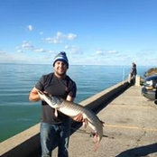 PJ Dorner's photo
