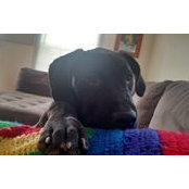 Shannon Kinahan's photo