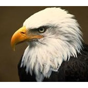 Mark Schreader's photo