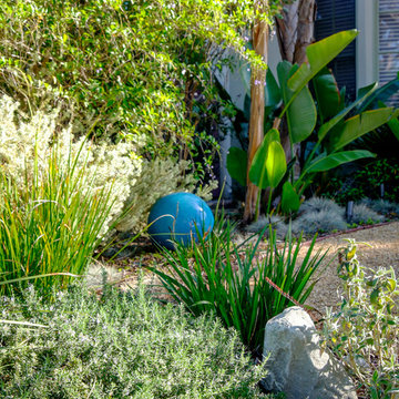 Front Yard Grass Swap