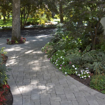 Longmeadow Woodland
