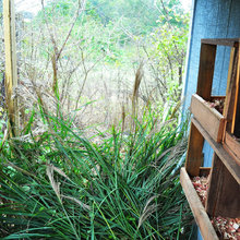 granny_wanda's ideas