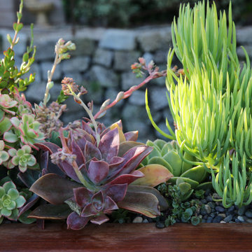 Burlingame Garden Retreat