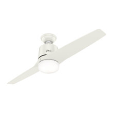 Hailey ceiling fan