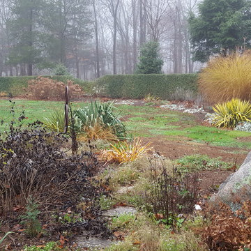 My Garden