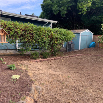 Fircrest Front Yard