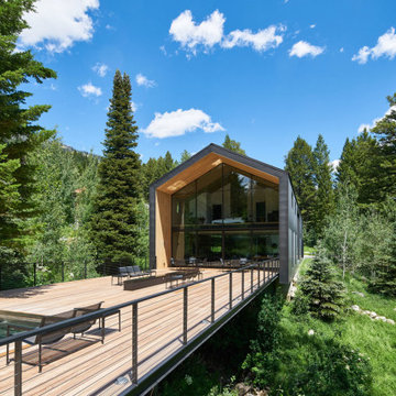 Modern Mountain