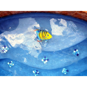 Banded Angel Fish Ceramic Swimming Pool Mosaic 9"x10" right