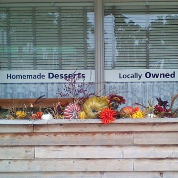 Lucky's Container Garden