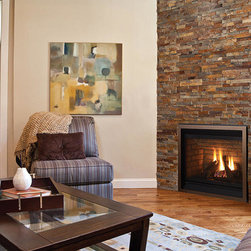 Regency Gas Fireplaces - Products