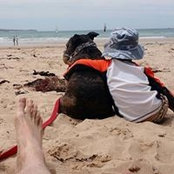 Travis Baker's photo
