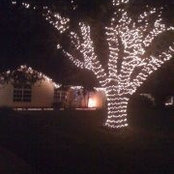 Beverley Smith's photo