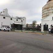 Annel Williams's photo