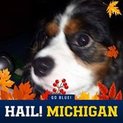 Kathleen Pribe's photo