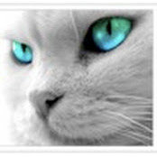 E L's photo