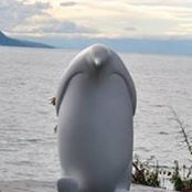 Amy Cary's photo