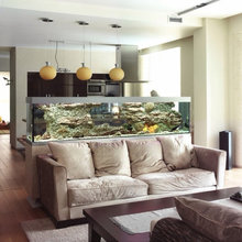 aquariums