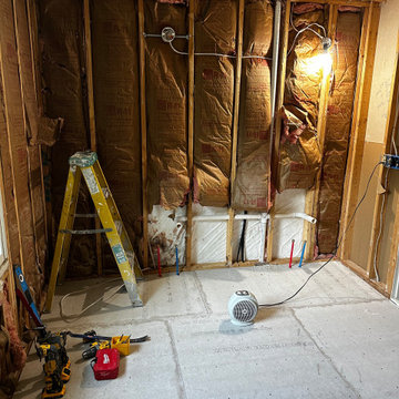 Upcoming Ann Arbor Master Bathroom