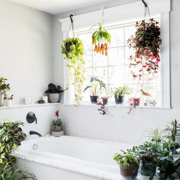 Interior plants for a new residence