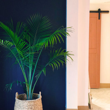 Modern Home Remodel - Foyer