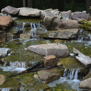 Water Garden Design