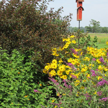 ACCENTS GIVE A LANDSCAPE PERSONALITY