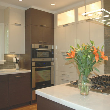 Lacquer and Wenge Kitchen
