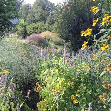 Meadow Planting, Westport CT