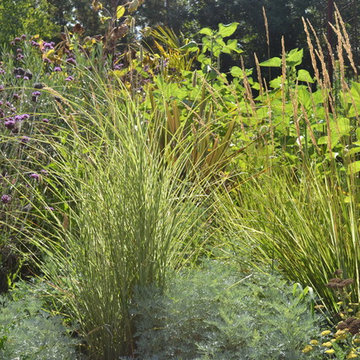 Floral-Ornamental grasses