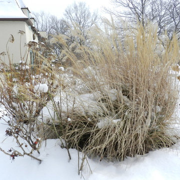 Bobbie's Garden
