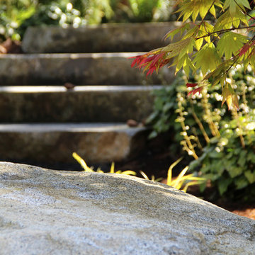 Modern Natural, Mercer Island
