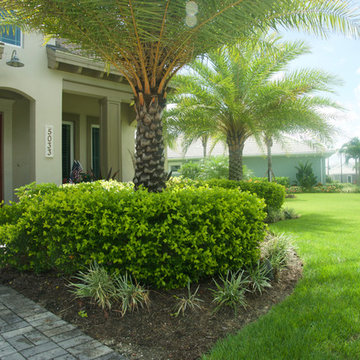 Tropical Full Yard Landscape in Naples FL
