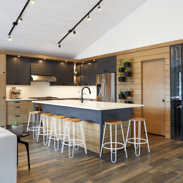 Mountain Modern
