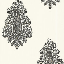 Pattern- Paisley