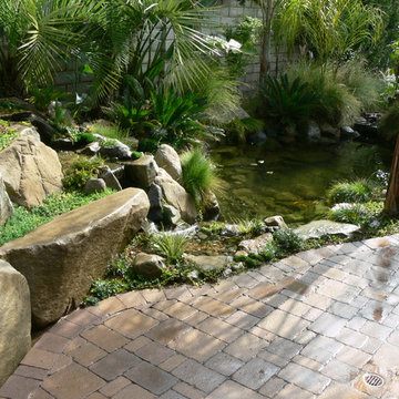 Drought Tolerant Koi Pond and Landscaped Backyard!