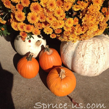 Fall Decor