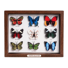 Guest Picks: Put a Butterfly On It