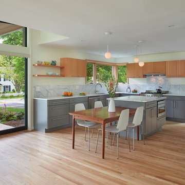 Kensington Mid-Century Addition/Renovation