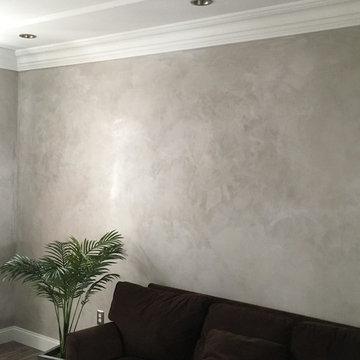 Pittsburgh Remodel Plaster Moulds & Venetian plaster