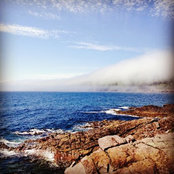 Nancy Wadden's photo