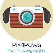 pix4pawsla's photo
