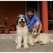 Marius Oprea's photo