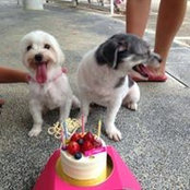 Desmond Lim's photo