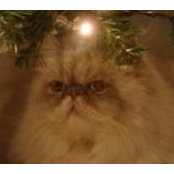 Cathy Lowther's photo