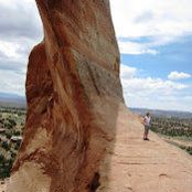 Cynthia Guertin's photo